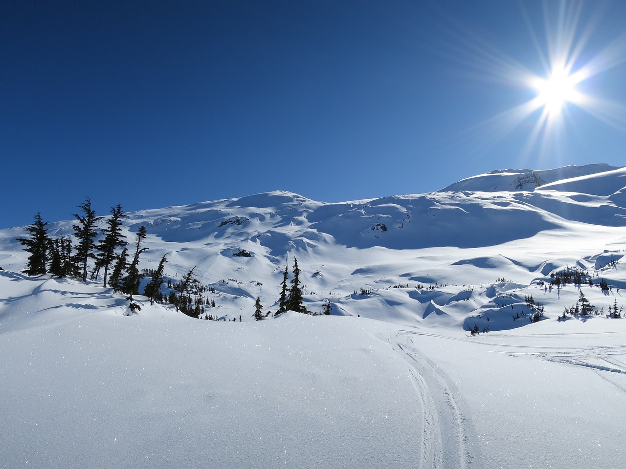 How to Paint a Snowy Winter Landscape